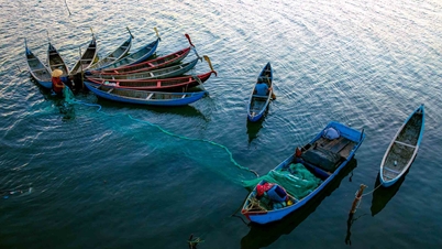 Ngắm ‘thuyền hoa’ trên đầm Ô Loan