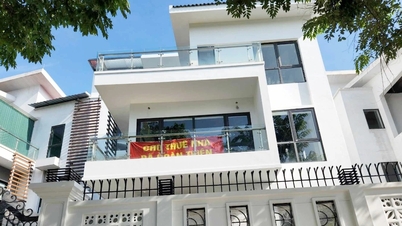 Biệt thự triệu đô cho thuê vài chục triệu đồng một tháng