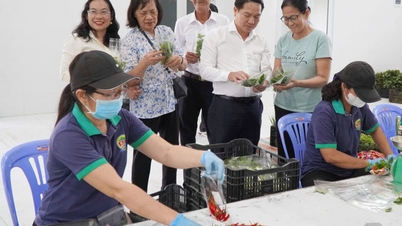 Cần Giuộc: Đẩy mạnh phát triển sản phẩm OCOP