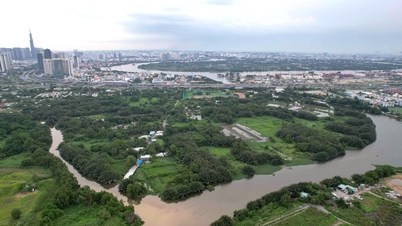 Hiệp hội Bất động sản TP.HCM đề xuất sửa bảng giá đất cần đảm bảo công bằng cho người dân
