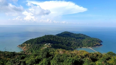 កោះគុជនៅកណ្តាលមហាសមុទ្រ Cape Cay