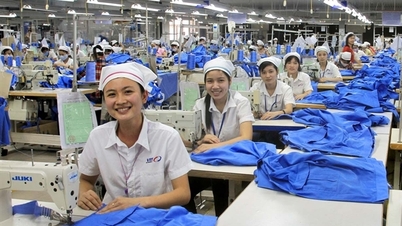 Năm 2023, Việt Tiến đặt mục tiêu đạt doanh thu 8.030 tỷ đồng