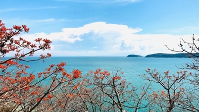 Hoi An is recommended by Time Out as one of the top 13 most attractive destinations in the world in July.