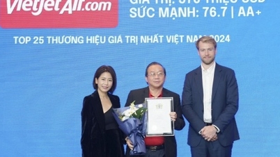 Top 25 most valuable brands in Vietnam by Brand Finance include Viettel, FPT, Vietjet