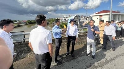 カマウ省、バクリエウ省、キエンザン省の自然災害防止工事を視察
