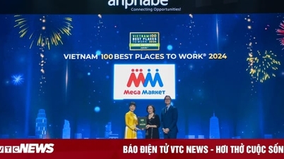 MM Mega Market tiếp tục lọt Top 100 Nơi làm việc tốt nhất Việt Nam 2024