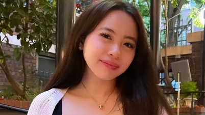 មិត្តភ័ក្តិភ្ញាក់ផ្អើល ពេលនិស្សិតស្រីជនជាតិវៀតណាម ចាក់សម្លាប់ឪពុកចុង