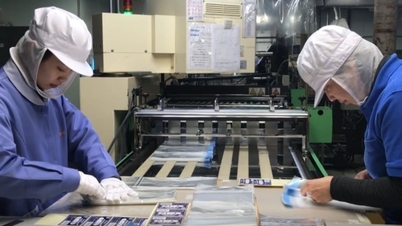 Vietnamese workers in Japan are worried as the yen has just increased in value and then reversed.