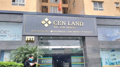 ហេតុអ្វីបានជាភាគហ៊ុន CRE របស់ Century Real Estate ត្រូវបានកាត់បន្ថយ?