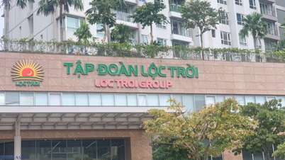 Loc Troi Group dismisses General Director