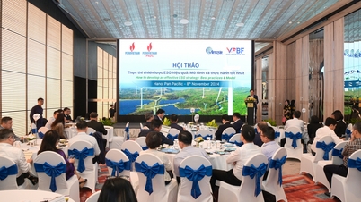 Petrovietnam៖ អនុវត្តយុទ្ធសាស្ត្រ ESG ប្រកបដោយប្រសិទ្ធភាព គោលបំណងអភិវឌ្ឍន៍ប្រកបដោយចីរភាព