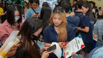 Tìm kiếm cơ hội thực tập cho sinh viên