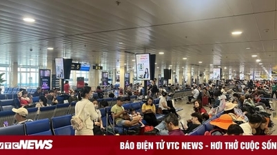 Hàng không vận chuyển hơn 1,5 triệu khách dịp Tết Nguyên đán 2024