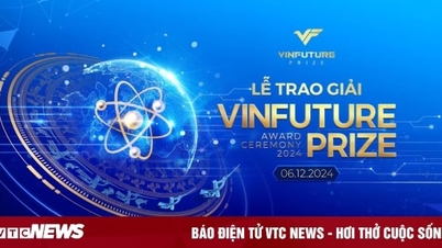 VinFuture Awards 2024 honors 'world-changing' research