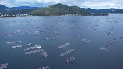 La obra de Vinh Xuan Dai – Bahía de Xuan Dai
