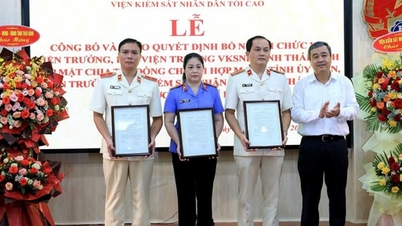 Thai Binh មាន​ប្រធាន​ចៅក្រម​ថ្មី​នៃ​លទ្ធកម្ម​ប្រជាជន
