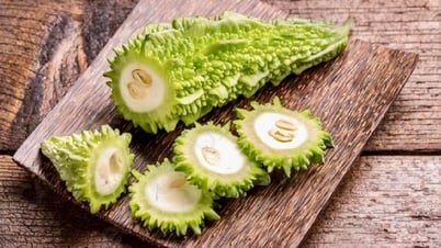 ផ្លែឪឡឹកជូរចត់, gymnema sylvestre ព្យាបាលជំងឺទឹកនោមផ្អែម