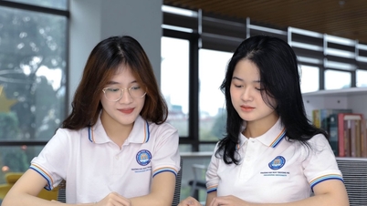ស៊េរីនៃសាកលវិទ្យាល័យបានប្រកាសពិន្ទុចូលរៀនអប្បបរមាសម្រាប់ឆ្នាំ 2024