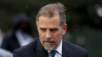 US President Biden's son pleads guilty to two charges