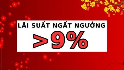 នៅដើមឆ្នាំ ធនាគារមួយមានអត្រាការប្រាក់លើសពី 9% សម្រាប់ការសន្សំរយៈពេល 13 ខែ។