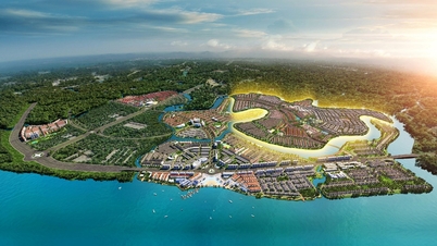 UBND tỉnh Đồng Nai giao đất cho Novaland triển khai dự án ở Aqua City