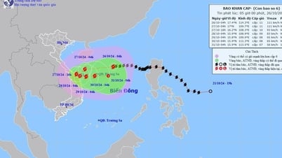 Còn cách Đà Nẵng 510km, vẫn đạt cấp 11, giật cấp 14