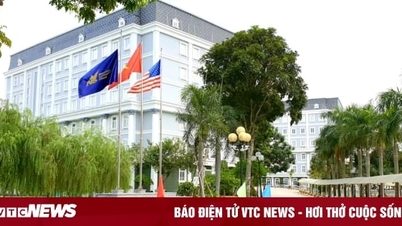 Hơn 84% phụ huynh Trường quốc tế AISVN muốn con tiếp tục học tại trường