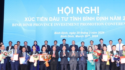 Nhiều tỷ phú nước ngoài đến Bình Định tìm cơ hội đầu tư