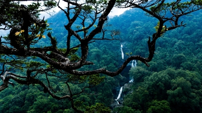 7-storey waterfall in Kon Tum 'hangs' halfway up the mountain, clear water, cool all year round