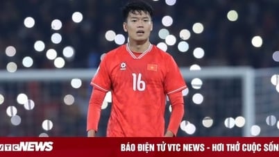 Thêm nhà vô địch AFF Cup 2024 gia hạn hợp đồng với Hà Nội FC