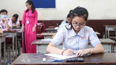 TP.HCM: Thí sinh trúng tuyển lớp 10 chuyên, tích hợp cần làm gì để nhập học?