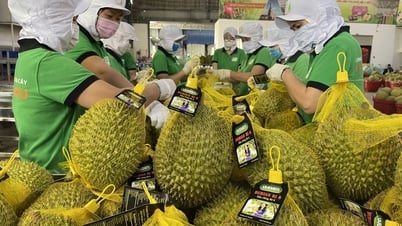 Der bilaterale Handel zwischen Vietnam und China erreicht fast 100 Milliarden US-Dollar