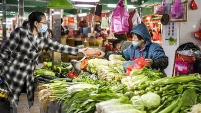 កំណើន​ជប៉ុន​លើស​ចិន​ដោយ​មិន​នឹក​ស្មាន​ដល់ តើ​អ្វី​ជា​មូលហេតុ​ពិត?