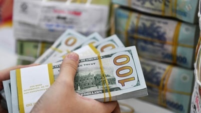 Giá USD ngân hàng đồng loạt giảm hơn 100 đồng, mất mốc 25.000 đồng/USD