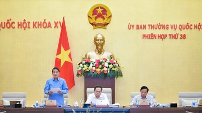 Đề xuất phân quyền cho chủ tịch UBND các cấp quyết định chủ trương đầu tư