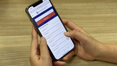 Đã cấp hơn 3.100 tên miền thương hiệu cá nhân trực tuyến