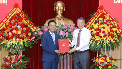 Senior Lieutenant General Nguyen Doan Anh holds the position of Secretary of Thanh Hoa Provincial Party Committee