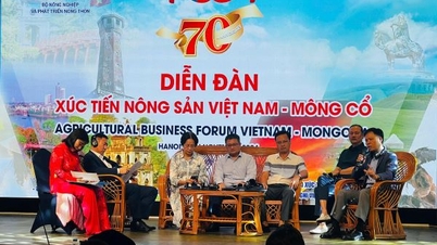 ចុះហត្ថលេខាលើអនុស្សរណៈយោគយល់គ្នាស្តីពីកិច្ចសហប្រតិបត្តិការលើការចែកចាយសាច់ពពែម៉ុងហ្គោលី និងសាច់ចៀមនៅវៀតណាម