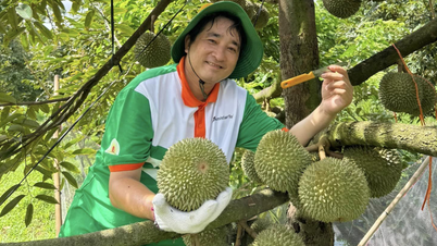 Reduced consumption of Thai products, in just 1 month China spent 16,000 billion to buy 'king of Vietnamese fruits'