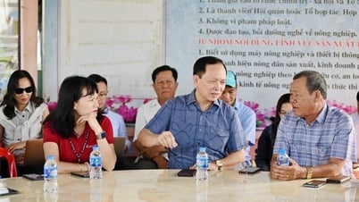Agribank cùng ngành ngân hàng cam kết đáp ứng đủ nhu cầu vốn triển khai Đề án 1 triệu ha chuyên canh lúa chất lượng cao