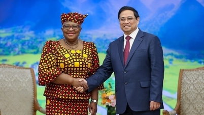 WTO វាយតំលៃខ្ពស់ចំពោះជោគជ័យរបស់វៀតណាមក្នុងសមាហរណកម្មអន្តរជាតិ និងការអភិវឌ្ឍន៍