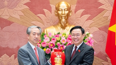 Die neue Ära der umfassenden strategischen Partnerschaft zwischen China und Vietnam hat großen Einfluss