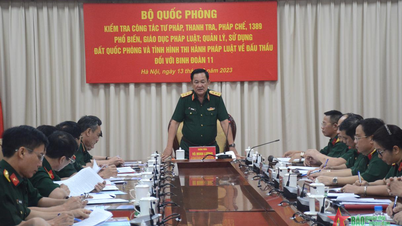 Senior Lieutenant General Vo Minh Luong presided over the inspection of judicial, inspection and legal work at Army Corps 11.