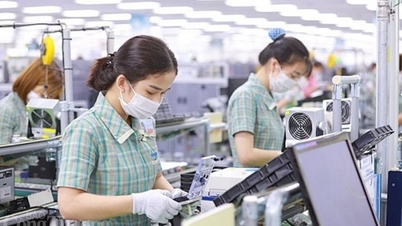 Hà Nội có nhiều dư địa thúc đẩy công nghiệp bán dẫn