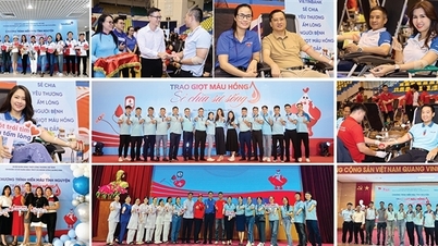VietinBank Youth Union organiserade framgångsrikt 2024 års frivilliga bloddonationsprogram