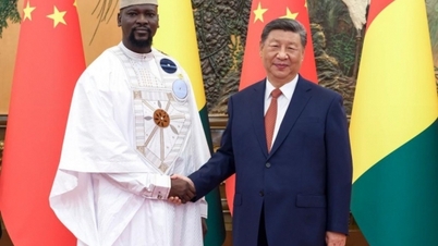 Gặp Tổng thống Guinea, ông Tập Cận Bình hứa sẽ "hô biến" một thứ thành động lực phát triển