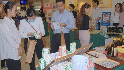 Tiềm năng và cơ hội cho doanh nghiệp Việt