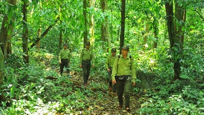 ជា​លើក​ទី​ប្រាំមួយ​ជាប់​គ្នា Cuc Phuong ត្រូវ​បាន​គេ​ផ្តល់​កិត្តិយស​ជា​ឧទ្យាន​ជាតិ​ឈាន​មុខ​គេ​របស់​អាស៊ី។