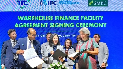 IFC វិនិយោគលើវិស័យកសិកម្មនៅវៀតណាម