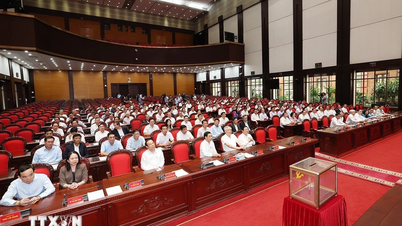 The 13th Party Central Committee meets on personnel work